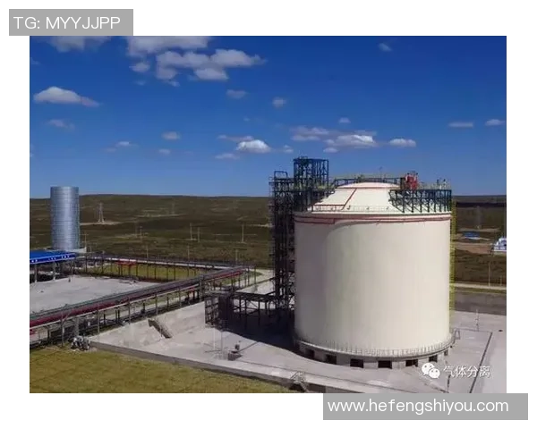 LNG在冠军杯中的强势表现分析与战术解读